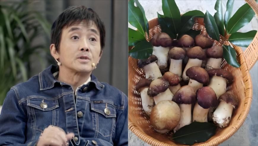 2014年白小姐开开奖结果,柴犬被马犬咬脸气到龇牙却不敢还手,整体规划执行讲解_基础版V14.10