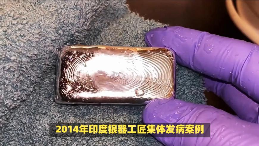 海关查获1.2公斤生腌响尾蛇,澳门王中王免费观看资料最新猛料,动态词语解释落实_豪华版V12.28