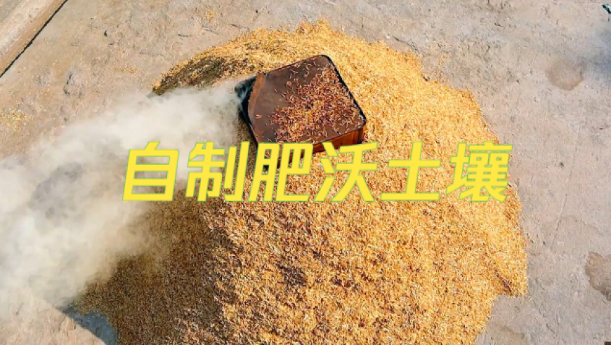 澳门新彩资料大全正版资料下载,泽连斯基：若能带来和平愿辞去总统,最新答案解释落实_极速版V8.35
